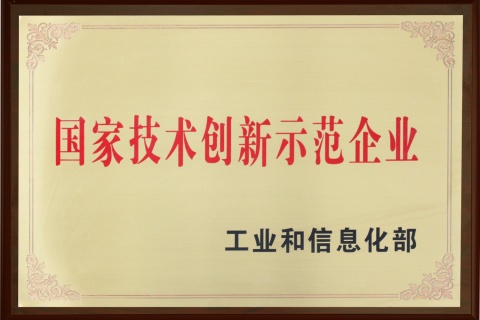 國(guó)家技術(shù)創(chuàng)新示范企業(yè)